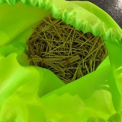 たっぷり！爪楊枝の画像
