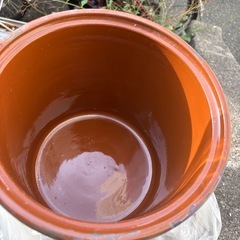 常滑焼切立カメ　ガラス蓋付　中古の画像