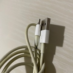 ジャンク品　Lightningケーブル　iPhone付属品の画像