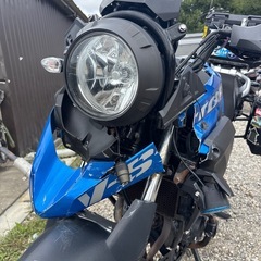 Vストローム　　ベース車　　書付きの画像