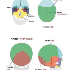 初心者歓迎✨ヘッドスパ講座（座学＋実技3時間・少人数制）サロン開業や副業にも◎の画像