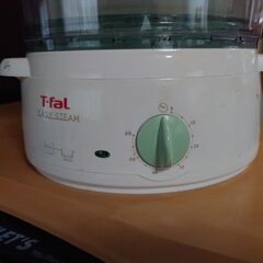 電気蒸し器　T-fal EASY STEAM　ユーズド　動作確認済の画像