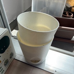 プラ鉢と水耕用鉢
の画像