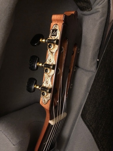 ギターMartinez 