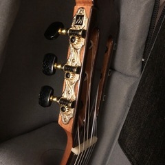 ギターMartinez の画像