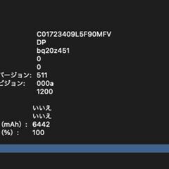 MacBook Air（13インチ,2017）256GB/8GB〈MQD42J/A〉④の画像