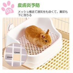 【新品未使用】うさぎ　トイレ ホワイト お手入れ簡単の画像