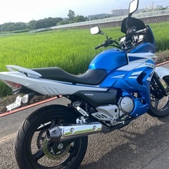 スズキ 
GSR250F ツアラー の画像