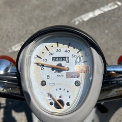 スクーピー　不動の画像