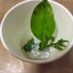 蝶の幼虫(多分)③
の画像