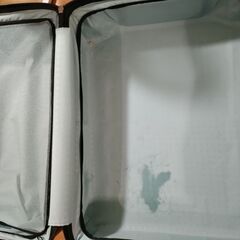 スーツケース100L  大容量　ACE PROTECA STARIA Vs d の画像