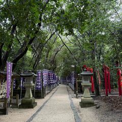 神社、自然、カフェめぐり