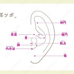 ＼大人気／耳ツボジュエリー講座の画像