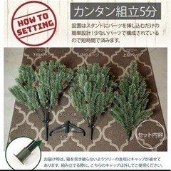 クラシックツリーの画像