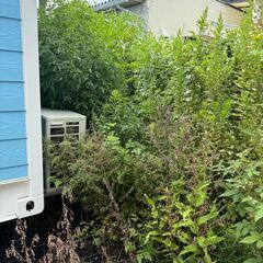 【1日単発バイト】事務所の草刈り依頼の画像