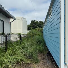 【1日単発バイト】事務所の草刈り依頼の画像