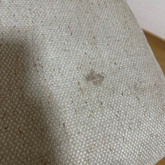 【9/20まで】ノーブル　ラタンチェアの画像
