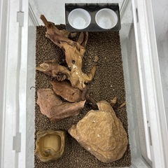 爬虫類・両生類飼育用のガラス製ケージ「EXO TERRAの画像