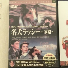 中古のDVD4枚セットの画像