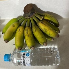 アップルバナナ🍌本日のみ‼️     　他にも出品中👍の画像