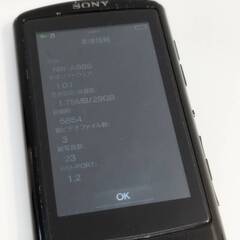 SONY ウォークマン/NW-A866/32GBの画像