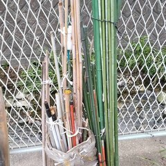 逗子 無料あげます 園芸用支柱 若竹 農業資材 植物支柱 誘引 観葉植物 モンステラ つる植物 モスポール モンステラ ポトス トマト 植木 植物 樹木 花壇 花 家庭菜園 土いじり 観葉植物 栽培 DIY 畑 農園 木陽樹 ガーデン 盆栽 造園 緑化 庭いじり 菜園 野畑 植木鉢 プ 0円 お譲りします 差し上げます テラコッタ ゴーヤー 薬草 夏 緑黄色野菜 庭木 落葉樹 ガーデニング 虫 盆栽 農業 移殖 シンボルツリー 肥料 剪定ツリー（の画像