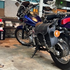 エリミネーター250lxの画像