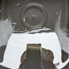 紅白ラメから出た白メダカ　若魚6匹くらい、稚魚7～8匹くらいの画像