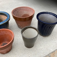 鉢を無料で差し上げますの画像