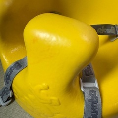 バンボ　値下げしましたの画像