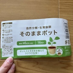 サボテン4つの画像