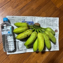 バナナ🍌の画像