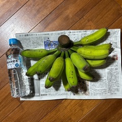 バナナ🍌の画像