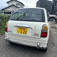綺麗の画像