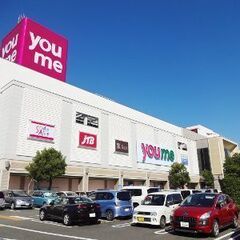 光の森をふらふら
