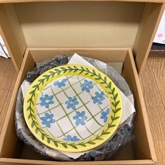 新品⭐︎パスタ皿5枚
の画像