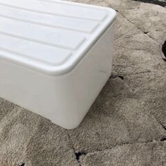 衣装ケース ニトリ 39×74×30 L  衣類収納 店頭販売 南区花畑の画像