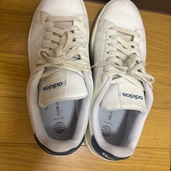 25.5adidasスニーカーの画像