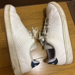 25.5adidasスニーカーの画像