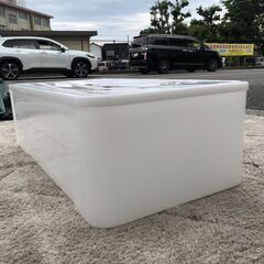 【在庫2点】衣装ケース ニトリ 39×74×23 M 衣類収納 各798円 店頭販売 南区花畑の画像