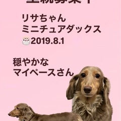 リサちゃん☆里親募集中