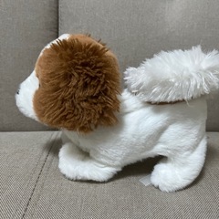 ピッコリーネ　犬　の画像