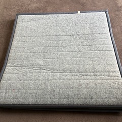 ござ　カーペットの画像