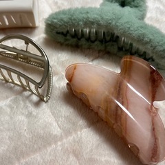 バレッタまとめて5つの画像