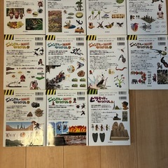 ジャングルのサバイバル全巻セット➕ピラミッドのサバイバル1巻　11冊セットの画像