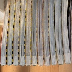 ジャングルのサバイバル全巻セット➕ピラミッドのサバイバル1巻　11冊セットの画像