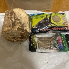 昆虫ケース大　くち木　昆虫マットの画像