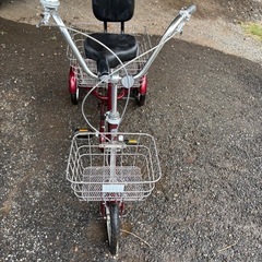 大人用三輪自転車の画像