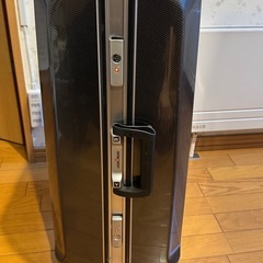 大型スーツケース カーボン？の画像