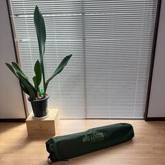【京都市内送料無料】LOGOS ロゴス 折りたたみ コット 簡易ベッド／キャンプ アウトドアの画像